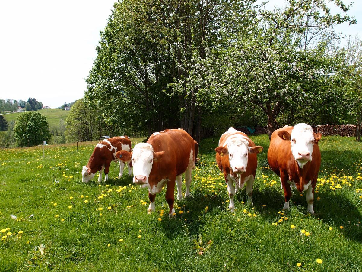 Landhotel Bayerwald Grafling Bagian luar foto