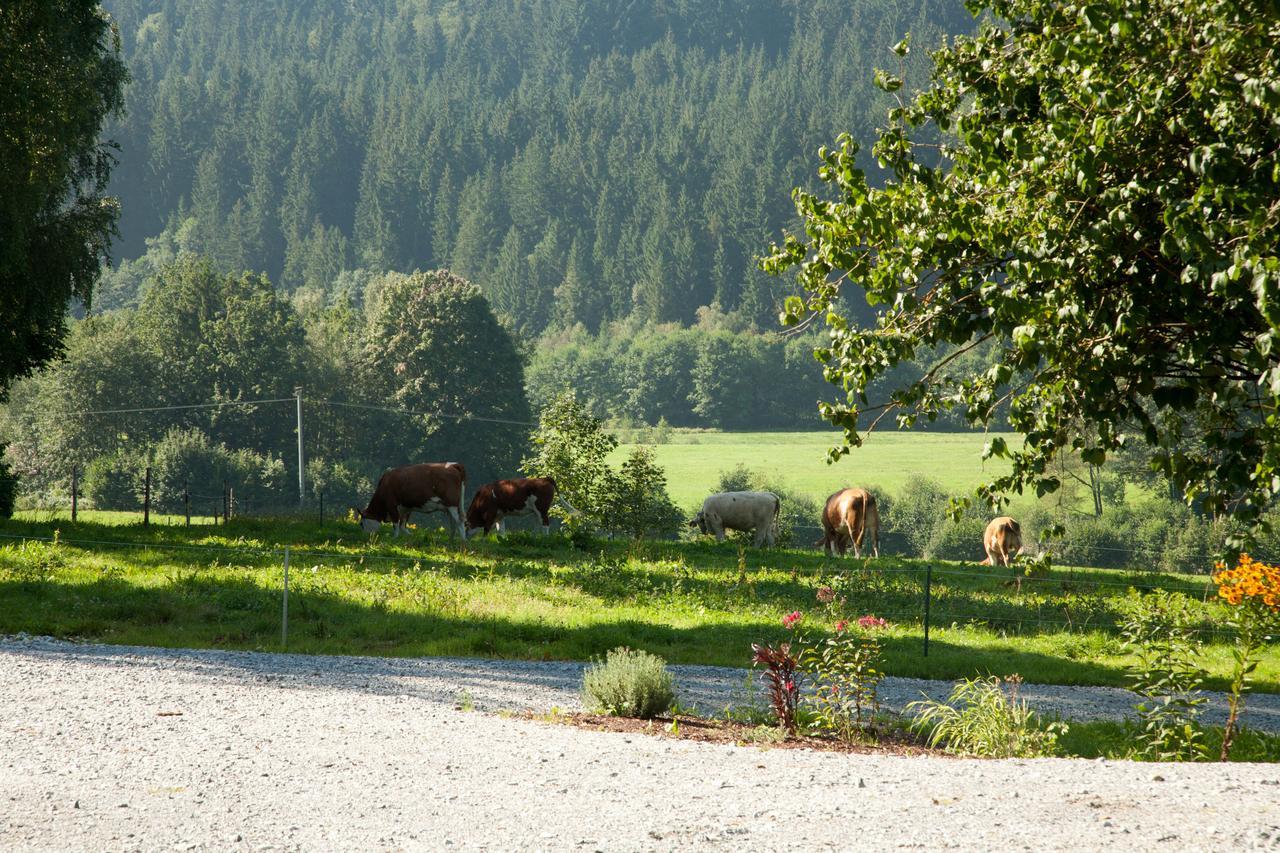 Landhotel Bayerwald Grafling Bagian luar foto